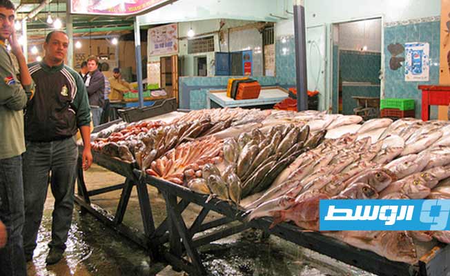 نقيب الصيادين: نقص العمالة وزيادة التكلفة يرفعان أسعار الأسماك