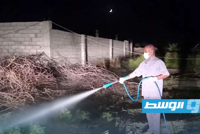 بـ«خطة ميدانية منظمة».. حملة لمكافحة العقارب في أوباري