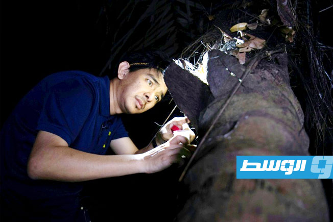 قصة لوكاناس «سيّد الصراصير» في الفلبين الذي يدافع عن حشرات غير محبوبة