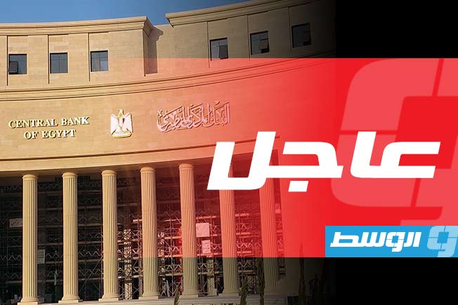البنك المركزي المصري يخفض أسعار الفائدة 225 نقطة أساس