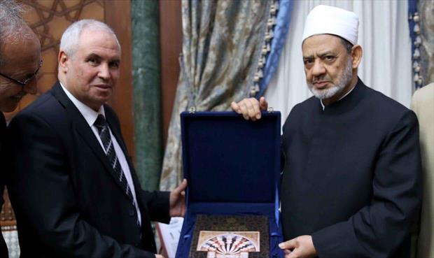 وزير الدولة لشؤون المهجرين والنازحين يلتقي شيخ الأزهر