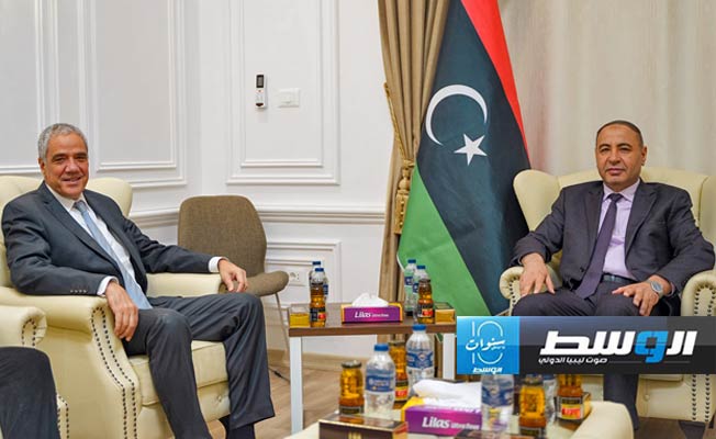 ملف الهجرة في مناقشات الباعور وسفير ألمانيا