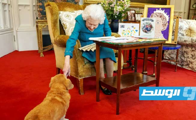 الأمير أندرو يتبنى كلبي والدته الملكة الراحلة