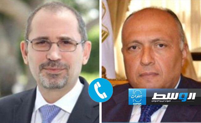 شكري والصفدي يبحثان الاستعدادات لمؤتمر الاستجابة الإنسانية الطارئة لغزة