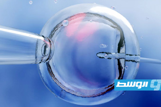 تقنية جديدة لتعديل البويضات تُحدث ثورة في عالم التلقيح الصناعي