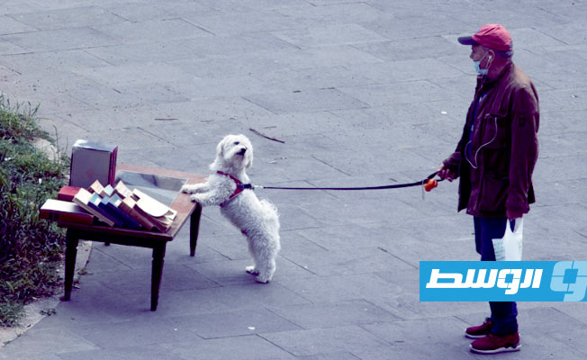 تنديد في إيطاليا بقرار حكومي يلغي علاوة ممنوحة للثقافة