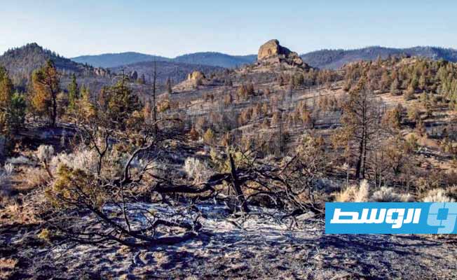 الولايات المتحدة: منطقة غرب الولايات المتحدة تستعد لصواعق جافة