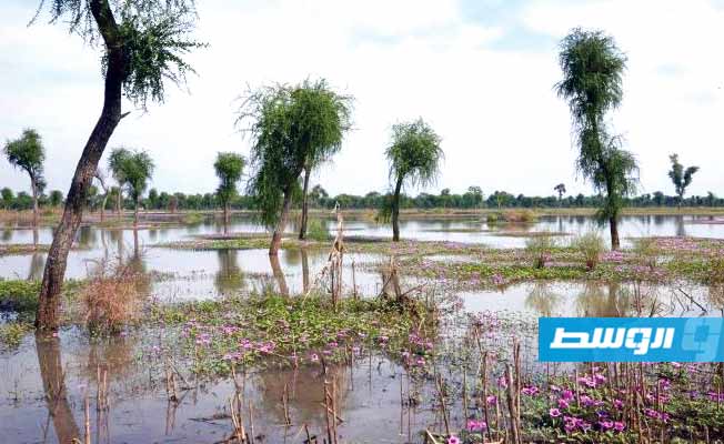 أمطار غزيرة تشرد عشرات الآلاف في جنوب السودان