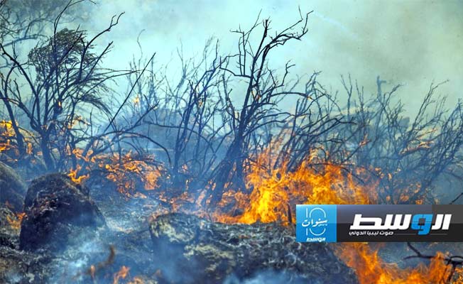 دراسة: 38 تريليون دولار تكلفة التغير المناخي سنويا بحلول العام 2049