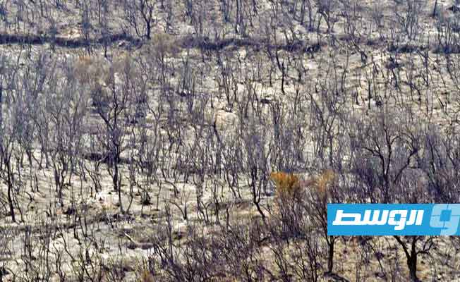 السيطرة على معظم الحرائق في الجزائر