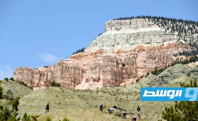 بايدن يلغي قرارات لترامب بتقليص مساحات محميات طبيعية
