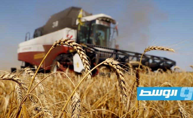 بوتين: الهدف الرئيسي من اتفاق الحبوب الأوكرانية «لم يتحقق»