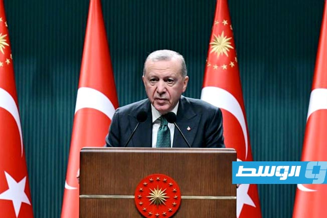 إردوغان: تركيا تواصل جهودها الدبلوماسية لضمان السلام في السودان