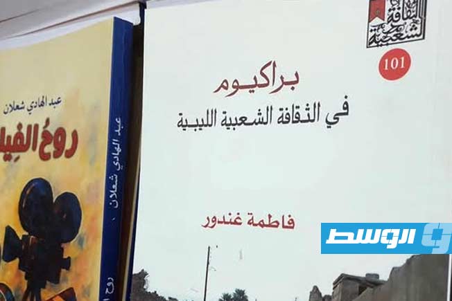 صدور كتاب جديد للباحثة فاطمة غندور عن الهيئة المصرية العامة للكتاب