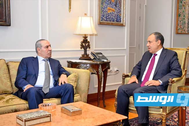 مصر تؤكد أهمية تثبيت وقف إطلاق النار في غزة وضمان تدفق المساعدات الإنسانية
