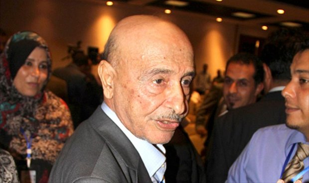 مجلس النواب يستعد لإطلاق قناة فضائية