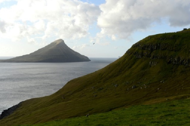 الحكم على نشطاء لمنعهم صيد الحيتان