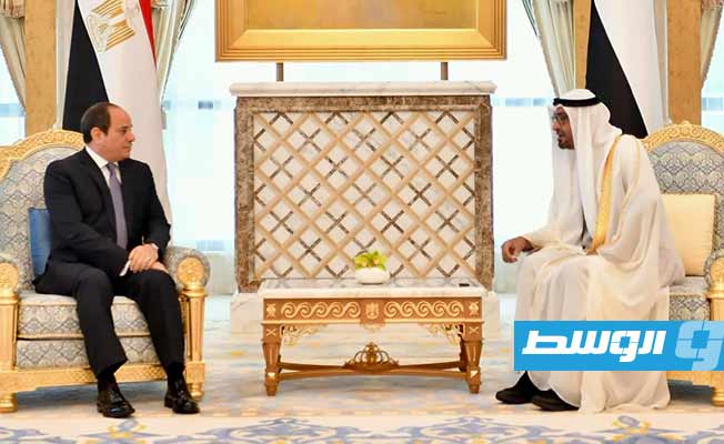 السيسي ومحمد بن زايد يؤكدان مواصلة العمل للتصدي للتدخلات الإقليمية ومحاولات التقسيم بين دول المنطقة