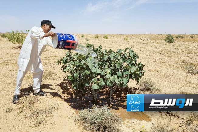 تقرير معهد نرويجي يطلق جرس إنذار بشأن تأثيرات تغير المناخ وندرة المياه على ليبيا