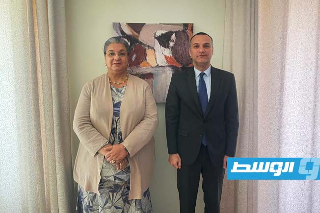 لقاء بين المبعوثة الأممية والقائم بالأعمال المصري يتناول عمل اللجنة الاستشارية