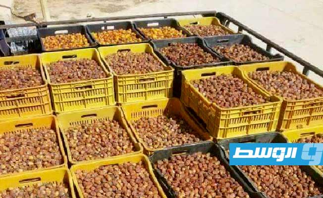 ليبيا تصدر 11.2 ألف طن من التمور في 2023
