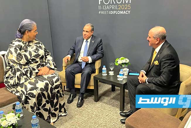 عبدالعاطي لـ«تيتيه»: ندعم الحل الليبي- الليبي دون تجاوز لدور المؤسسات الوطنية