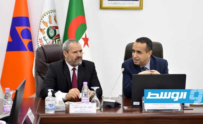 أبرزها تصدير الكهرباء.. الجزائر تعرض على ليبيا التعاون في مجالات الطاقة