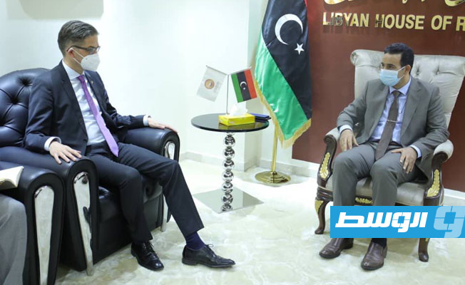 النويري يبحث مع السفير الألماني اعتماد ميزانية 2021