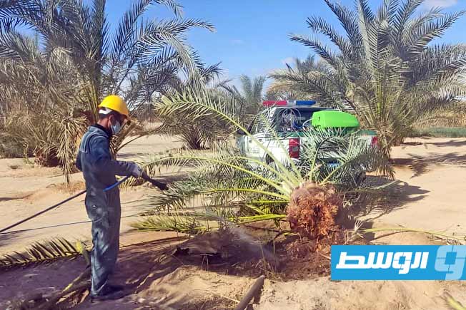 الحرارة في أوجلة تقترب من 41 درجة