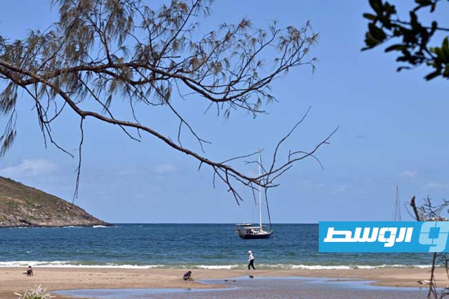 إصابة فتى إثر تعرضه لهجوم قرش في أستراليا