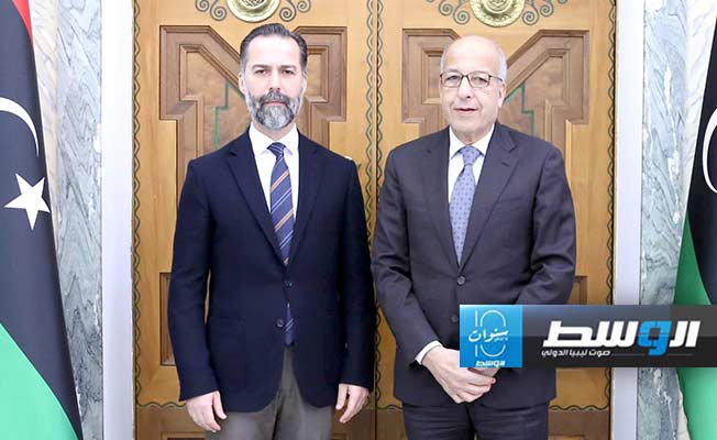 الكبير يبحث مع سفير تركيا مسار توحيد «المركزي» والموازنة