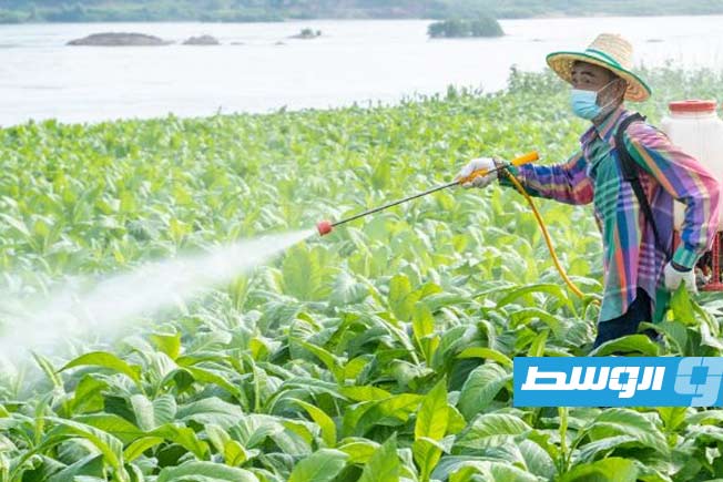 مبيد شهير يتسبب في جدل جديد ويثير «الخوف»