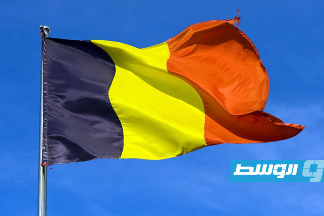 بلجيكا تنضم إلى دعوى جنوب أفريقيا ضد «إسرائيل» لدى «العدل الدولية»