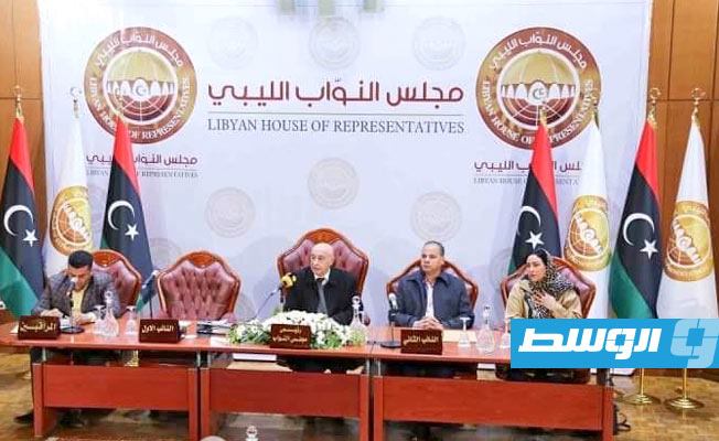 مجلس النواب يدعو إلى اتخاذ إجراءات عاجلة لتأمين الحدود مع تشاد