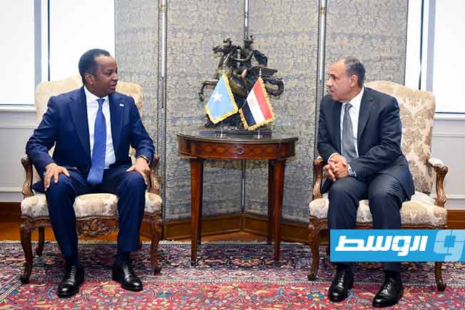 عبدالعاطي لنظيره الصومالي: الاعتراف الإسرائيلي الأحادي بـ«أرض الصومال» يهدد الاستقرار في القرن الأفريقي
