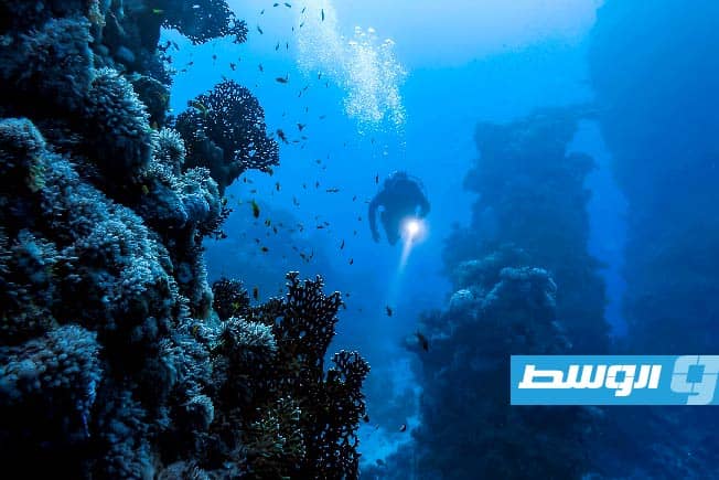علماء صينيون يطورون نموذج ذكاء صناعي لاستكشاف أعماق البحار