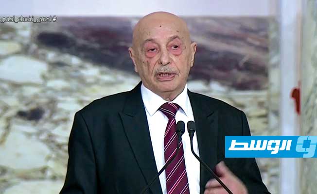 عقيلة صالح للسيسي: فائق تقديري لمواقفكم الشجاعة الداعمة لإحلال السلام في ليبيا