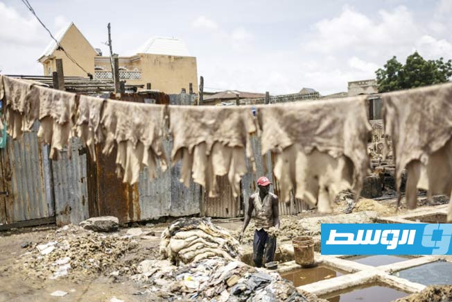 «تعبير خالد عن التراث».. تطوير قطاع الجلد النيجيري المرغوب من الماركات العالمية