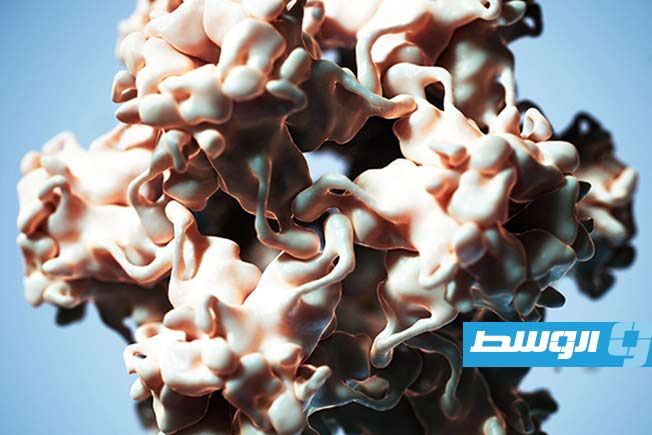 دراسة: فيروس «بيتا-HPV» ودوره المباشر في تحفيز سرطان الجلد