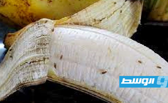 طرق فعالة للتخلص من ذباب الفاكهة في الصيف