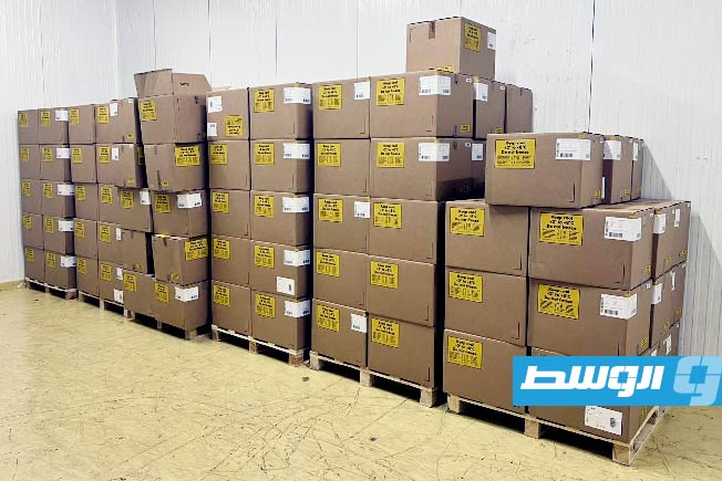 وصول شحنة دواء لأمراض الكلى إلى مخازن «الإمداد الطبي»