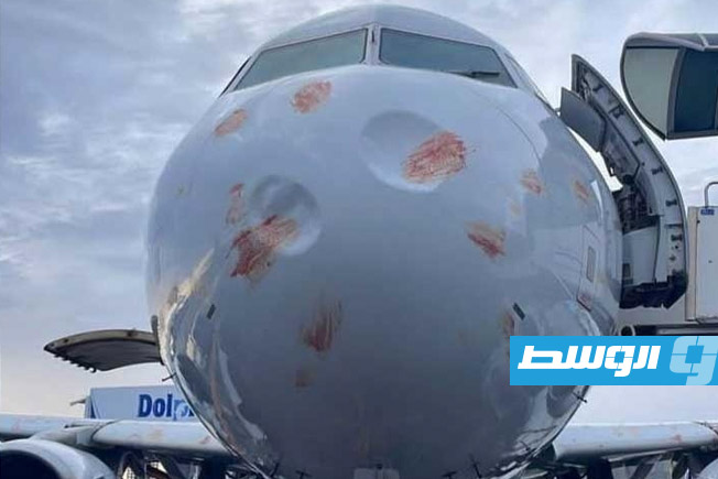إلغاء رحلة جوية من طرابلس إلى القاهرة بعد اصطدام طائرة بسرب من الطيور