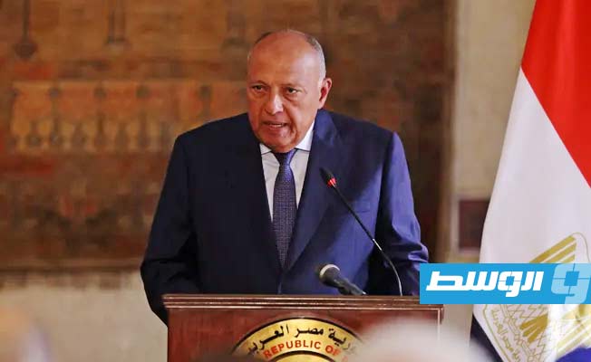 شكري وفقيه يبحثان تليفونيًا تطورات الأوضاع في السودان