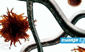 العلماء يحذرون من أطعمة تحوي مواد دقيقة تسبب السرطان!
