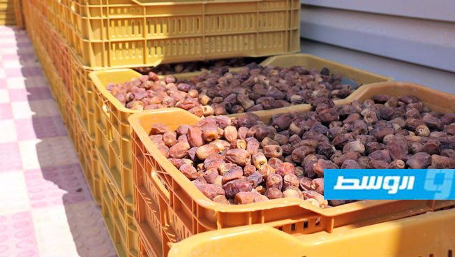 صندوق الزكاة بأوجلة يشرع في استقبال وتوزيع زكاة التمور لهذا العام