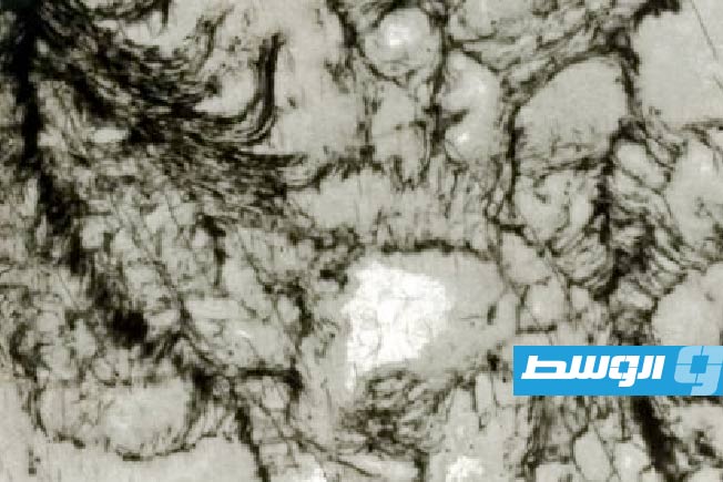 اكتشاف أقدم آثار كيميائية للحياة على الأرض في صخرة عمرها 3.3 مليار سنة
