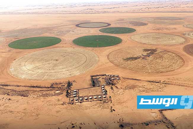 «الوطني للتنمية» يواصل تنفيذ مشروع «برجوج» الزراعي في الجنوب الليبي