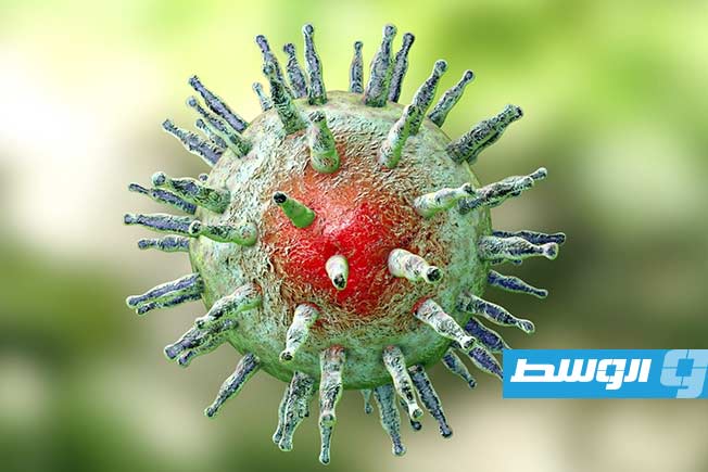 دراسة من ستانفورد تربط فيروس «إبشتاين-بار» بمرض الذئبة الحمراء