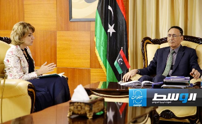 خلال لقائه مسؤولة أممية.. الحويج يؤكد أهمية تطبيق إصلاحات اقتصادية