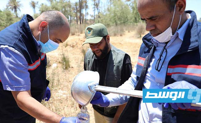 بعد ظهور حالات «لدغات بعوض».. فريق من «مكافحة الأمراض» يزور قصر الأخيار
